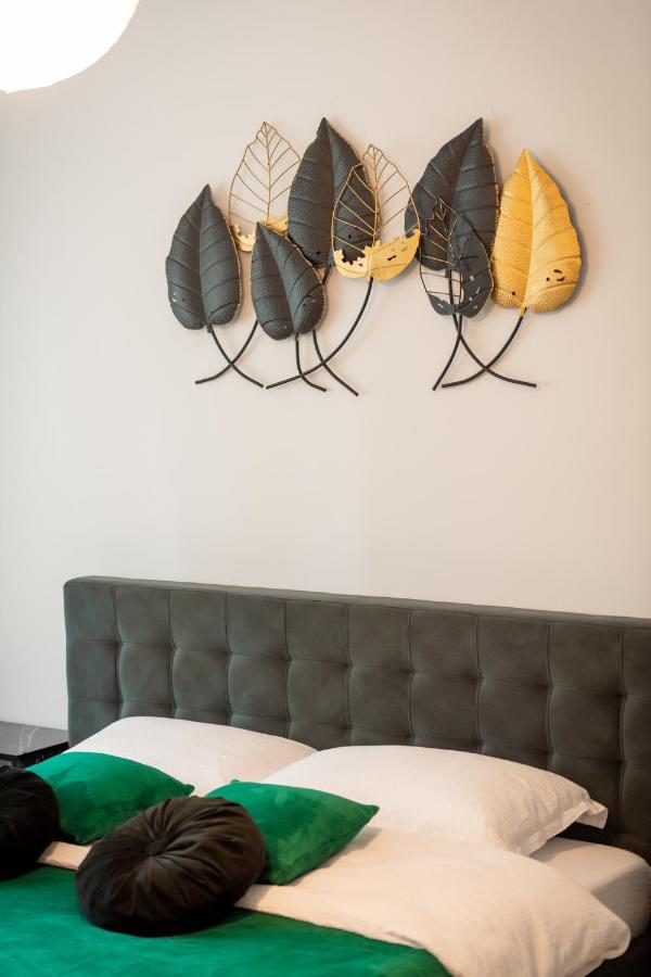 Coresi Vibe Studio Brasov Bagian luar foto