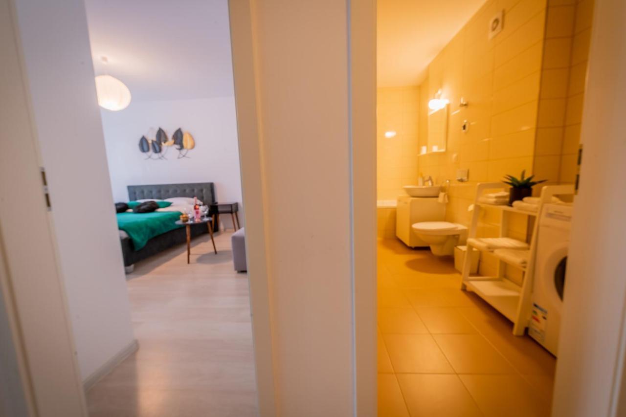 Coresi Vibe Studio Brasov Bagian luar foto